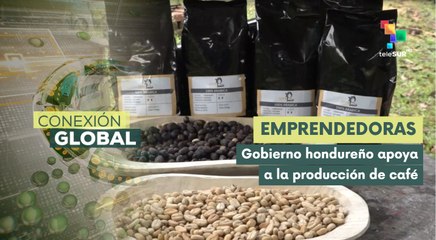 Mujeres de Comayagua transforman vidas con exitoso proyecto cafetalero