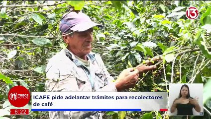 Trece Noticias - Edición Estelar | 21 Noviembre 2025