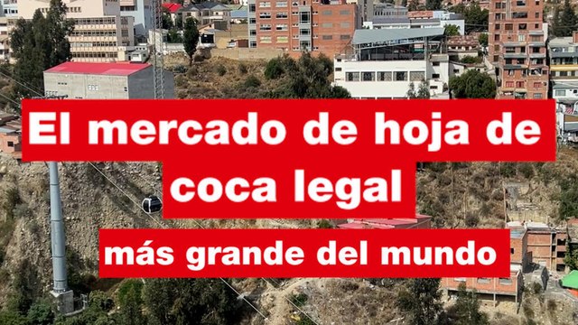 Productores bolivianos luchan por rescatar la hoja de coca del estigma