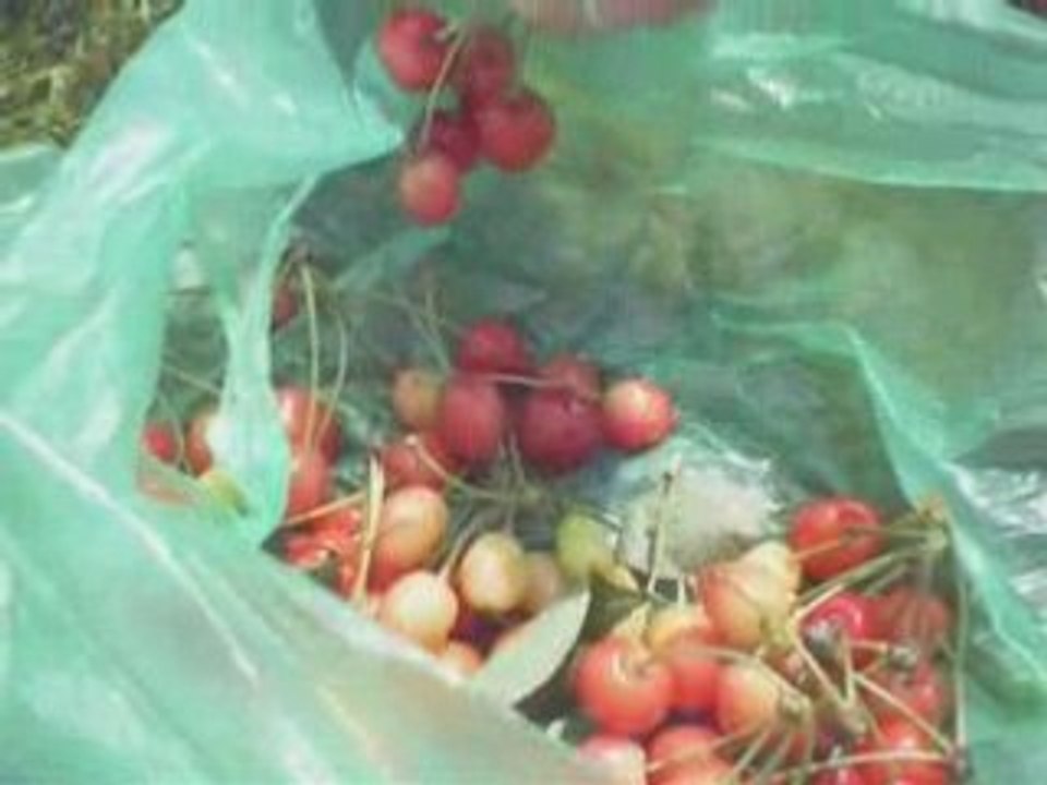 Yuki and her friends