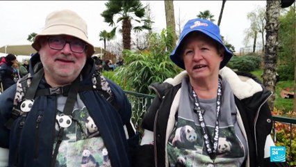 Beauval : derniers adieux émus du public, avant le retour des pandas en Chine mardi