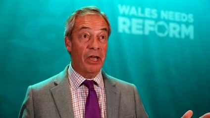 Farage breaks silence on Nathan Gill controversy