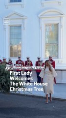First Lady Welcomes The White House Christmas Tree