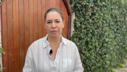 ext-claudia-dobles-agenda-ciudadana-241125