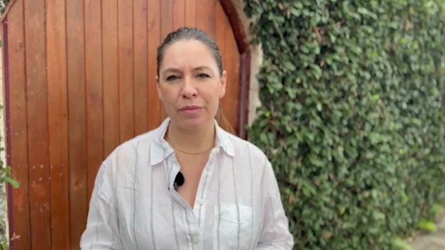 ext-claudia-dobles-agenda-ciudadana-241125