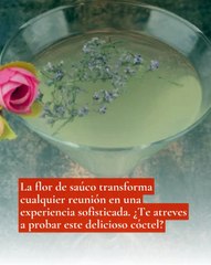 Cóctel de Flor de Saúco, una bebida de dulzura floral  burbujeante