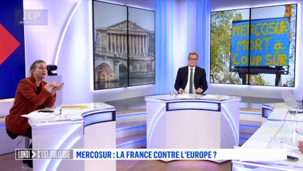 LCP, Lundi C'est Politique - Mathilde Panot, présidente du groupe LFI à l'Assemblée nationale