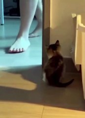 You have a good time discovering funny news