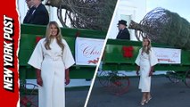 First Lady Melania Trump welcomes the 2025 White House Christmas tree