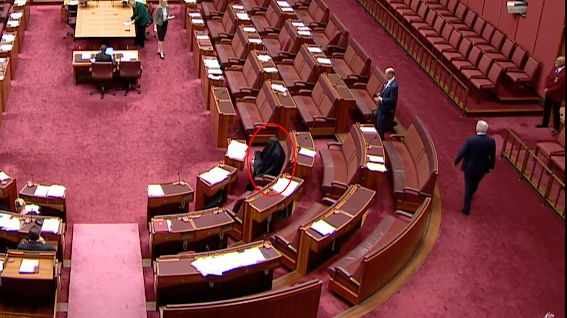 Una senadora australiana acude a la Cámara vestida con un burka y es acusada de "racismo"