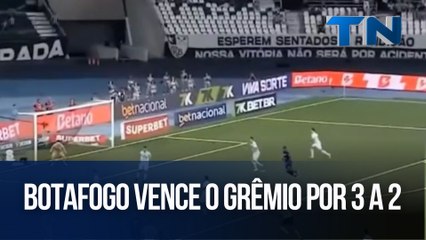 Botafogo vence o Grêmio por 3 a 2