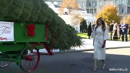 Melania Trump riceve l'albero di Natale alla Casa Bianca
