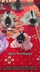 Accidentally Seducing the Emperor