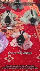 Accidentally Seducing the Emperor