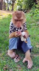 Best SokYaa, OG, Pao & Mom Are Videomous Around The World #shorts #anime #trend #edit