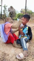 Perfect video SokYaa, OG, Pao & Mom Are Famous Around The World #shorts #anime #trend #edit