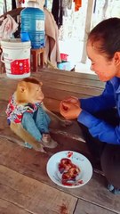 Well Best SokYaa, OG, Pao & Mom Are Famous Around The World #shorts #anime #trend #edit