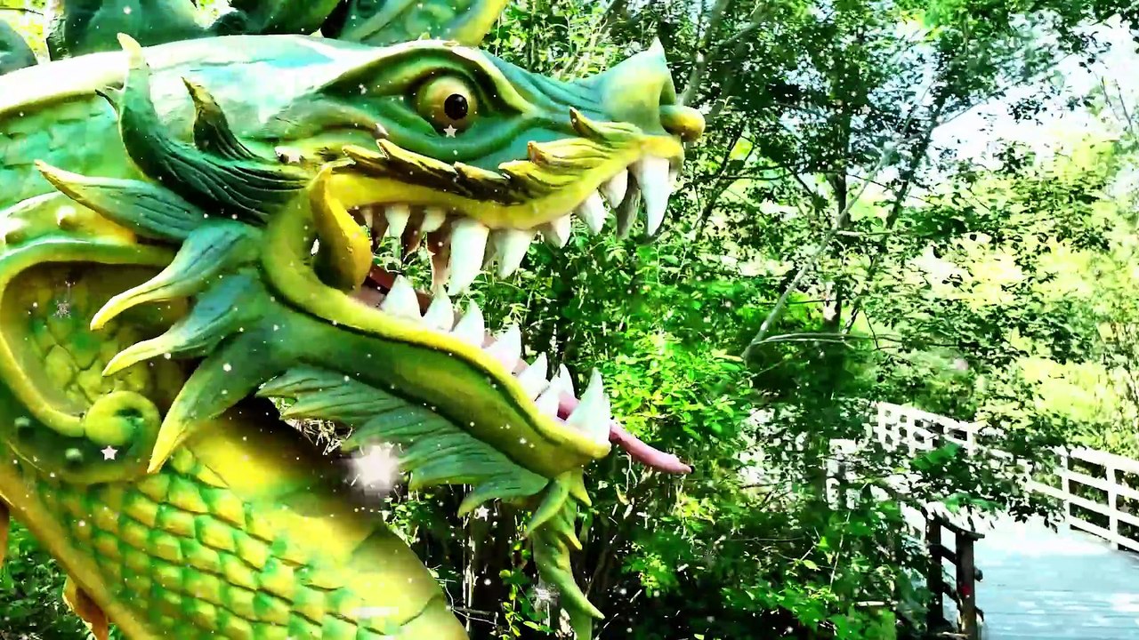 Dragons at Audubon Zoo
