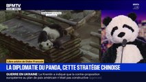 LIBRE ARBITRE DE DIDIER FRANÇOIS - La diplomatie du panda, cette stratégie chinoise