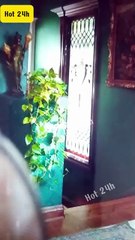 Knocked Up By My Ex Billionaire 's Uncle Full Movie