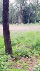 From Fifty to Fearless - Rising to Rule All(DUBBED)  Dramabox