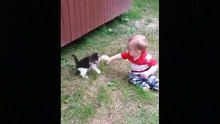 #cutecat #cutecattv #cat Cute Baby Cats Video Compilation Cute Moment Of The Cats24 Cute Cat TV