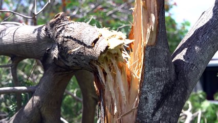 Darwin residents without power with cyclone clean up underway
