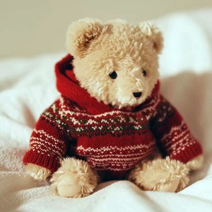 A teddy bear doll wearing christmas hoodie
