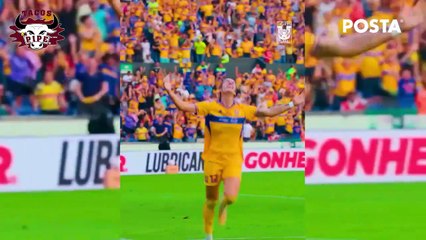 Ernesto Chavana reflexiona sobre el campeonato Tigres Femenil