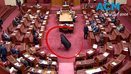 Pauline Hanson suspended from senate after second burka stunt
