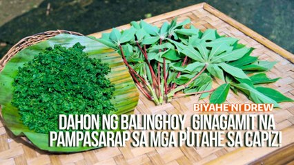 Dahon ng balinghoy, ginagamit na pampasarap sa mga putahe sa Capiz! | Biyahe ni Drew