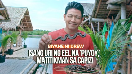 Isang uri ng eel na ‘puyoy,’ matitikman sa Capiz! | Biyahe ni Drew