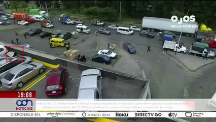 "Mina", la osa maltratada en Nuevo León, muestra gran mejoría en su salud I Ciudad Desnuda