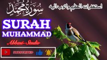 Surah Muhammad | سورة محمد کی تلاوت | Powerful Tilawat | Abbasi Studio