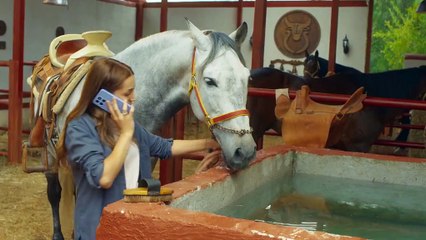 Mi verdad oculta Capitulo 11