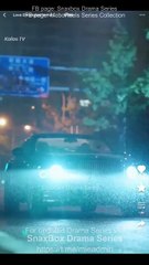 Love Entangled in Harbor City Chinese Drama - English Sub