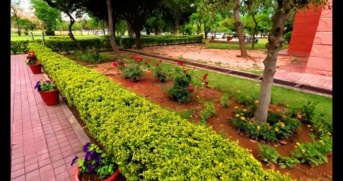 Beautiful Garden View Red Rose