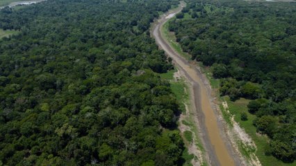 El crimen organizado, gran amenaza para la Amazonía