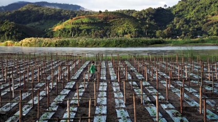 Toxic mining threatens Southeast Asia's rivers, and communities