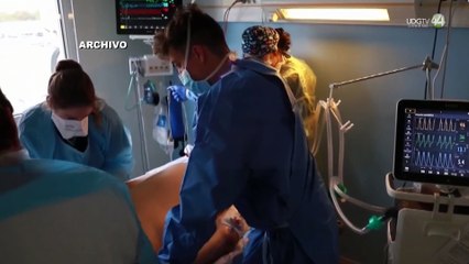 Especialistas vigilan Virus Sincitial Respiratorio por aumento de casos en Estados Unidos y Canadá