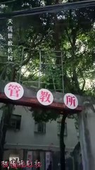 The fake sisters game chinese drama [Multi Sub] - FULL MOVIES ENGLISH SUB