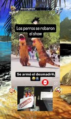 Just shorts videos 😜  #shorts #viralvideos #trending #funnyshorts #shortsfeed  #memes #funny #anime