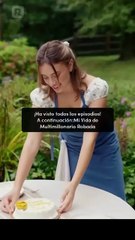 🧡🍏 🔥 Mi Vida de Multimillonario Robada en Español (1)