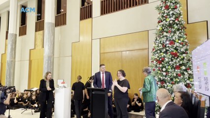 Lights switched on the Parliament House Christmas Tree