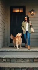 The dog and its intimate relationship with its owner, a symbol of loyalty and affection ❤️🐶. #dog #relationship #ai