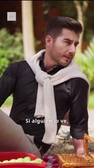 Accidentalmente embarazada del Alfa Completa en Español