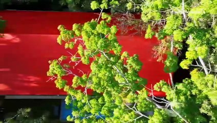 Desafío 2025 - Capítulo 99 | Martes 25 de Noviembre