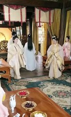 Wonder Lady Chinese Drama - English Sub