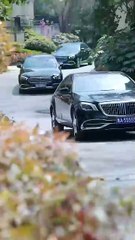 Ten Years of Sacrifice: Framed for the Adopted Son / They Chose Him Over Blood / From Trash to Throne /The Decoy Son / Jailed for their Golden Boy / Silent Asylum : The Adopted Son's Crime - Full Movie