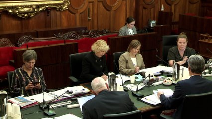 Tasmanian ferry operator of the TT-line hits back at claims that company is insolvent